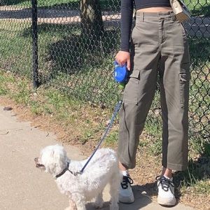 Aritiza cargo size 0